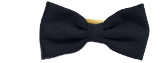 Navy Bow Tie Items